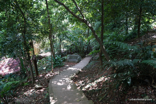Bukit Nanas Forest Reserve / KL Forest Eco Park