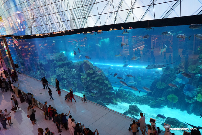 Dubai Sightseeing - Dubai Aquarium